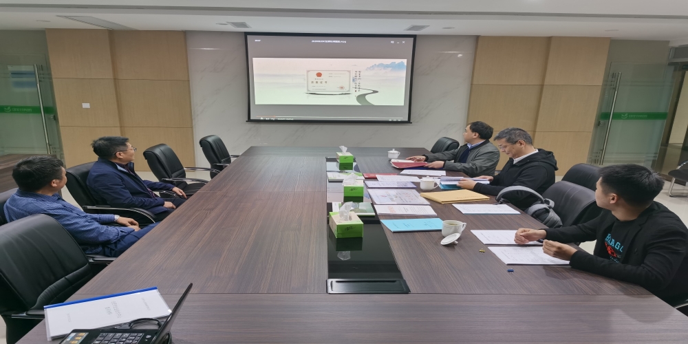 合肥市市級企業(yè)技術中心復審小組蒞臨綠葉集團考察指導