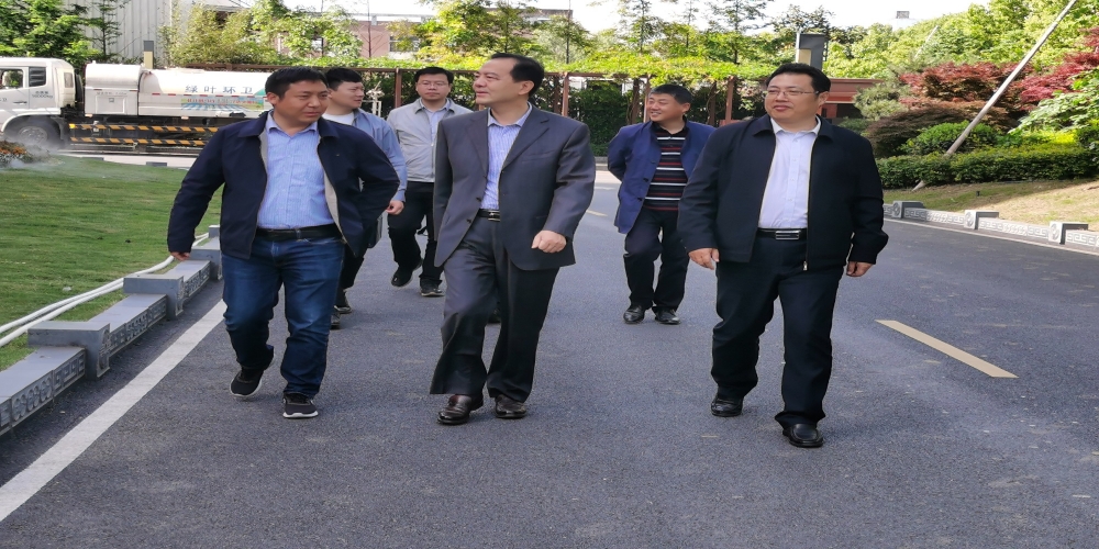 汪斌赴和合生態綠葉集團調研工作