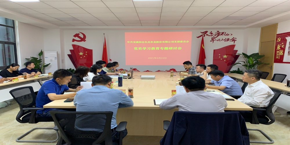 和合生態(tài)黨支部召開黨史學習教育專題研討會