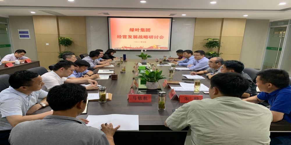 綠葉集團召開1-5月經濟形勢分析會暨戰略研討會