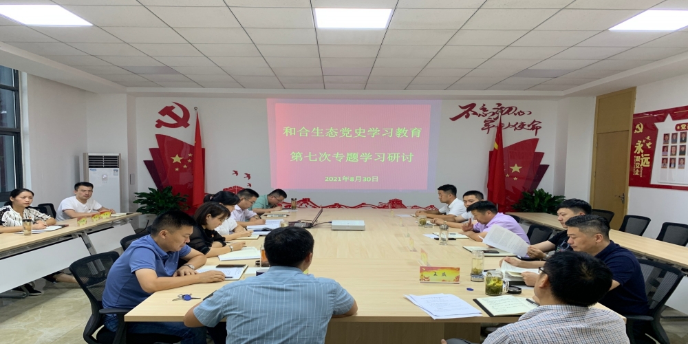和合生態黨支部召開黨史學習教育第七次專題學習研討