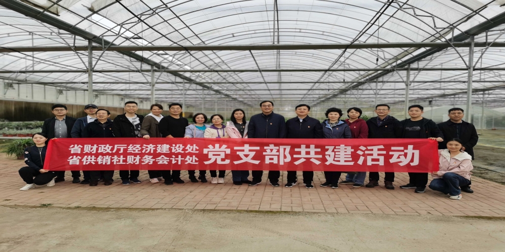 安徽省供銷社財務會計處與省財政廳經濟建設處到綠葉集團生態園開展黨支部共建活動