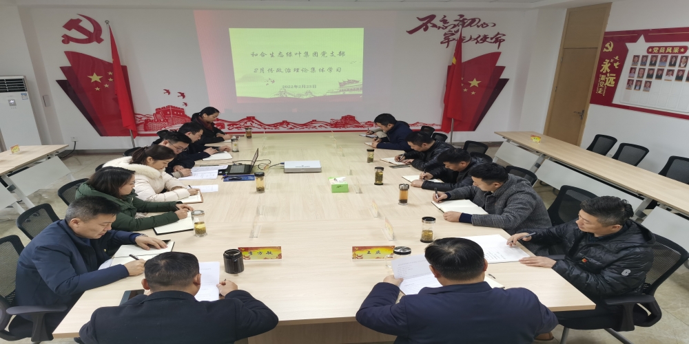 和合生態黨支部組織開展2月份政治理論學習