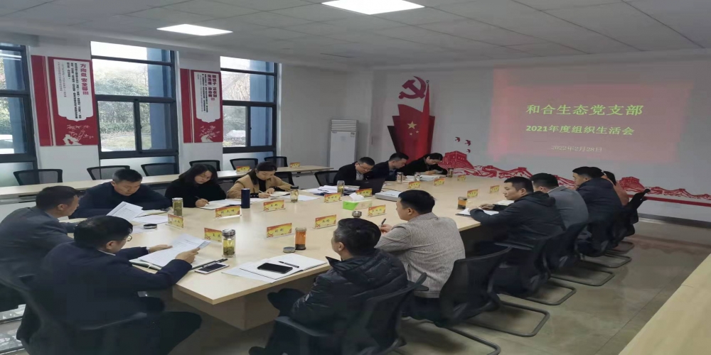 和合生態(tài)黨支部召開2021年度組織生活會