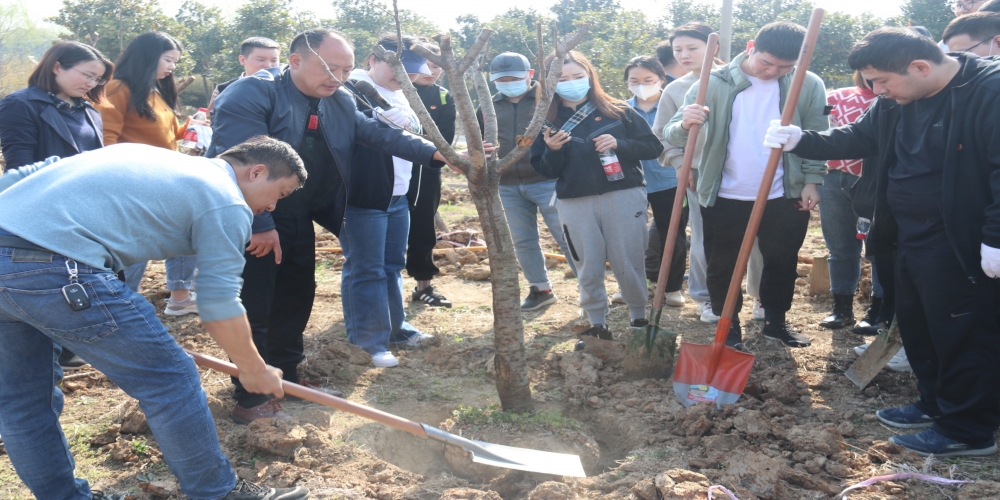省供銷集團及各控股企業(yè)團員青年赴綠葉集團小廟基地開展植樹活動