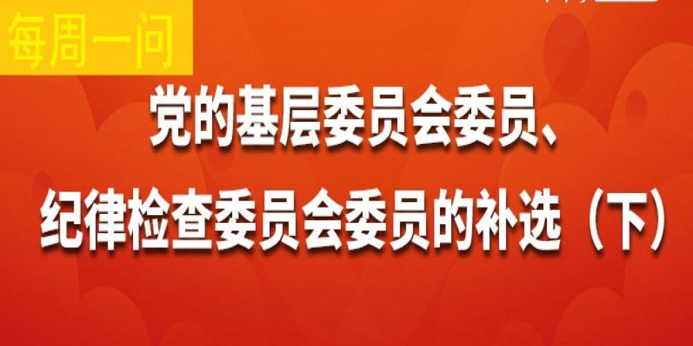 黨的基層委員會委員、記錄檢查委員會委員的補選（下）