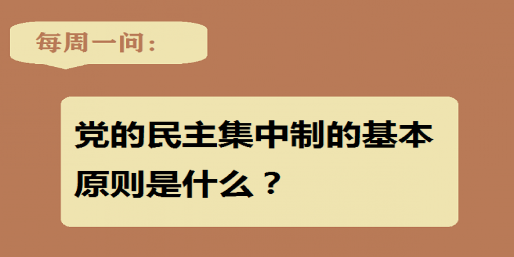 黨的民主集中制的基本原則是什么？