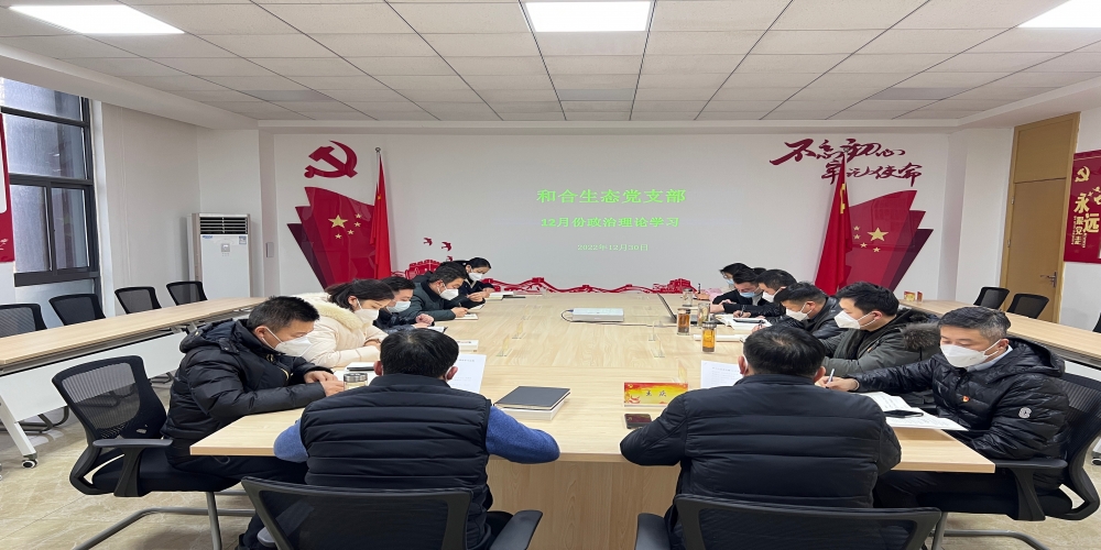 和合生態黨支部組織開展12月份政治理論學習